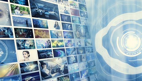 嶺南股份 持續(xù)深耕互聯(lián)網(wǎng)信息服務，以技術(shù)驅(qū)動未來增長